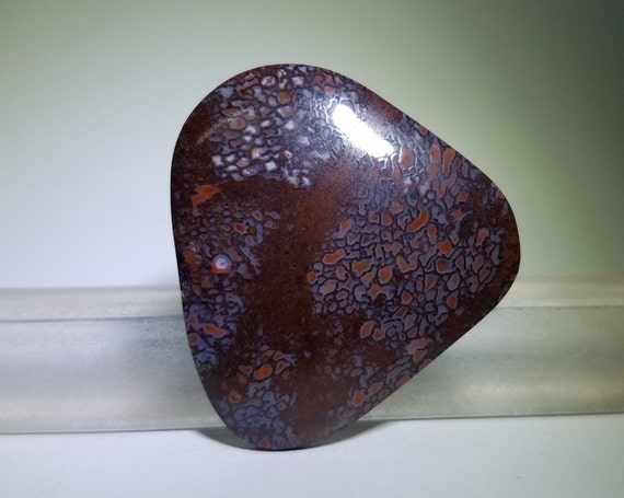 dinosaur bone gem