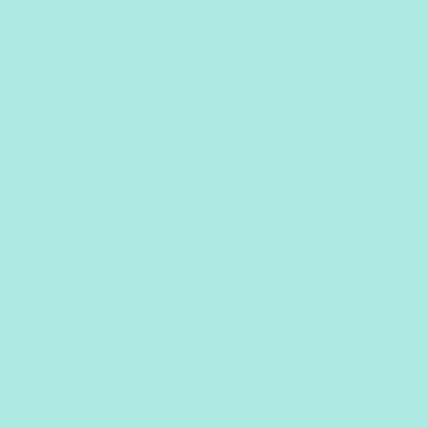 NEW 2ft x 2ft Mint Green Vinyl Back Drop Floor Drop Design