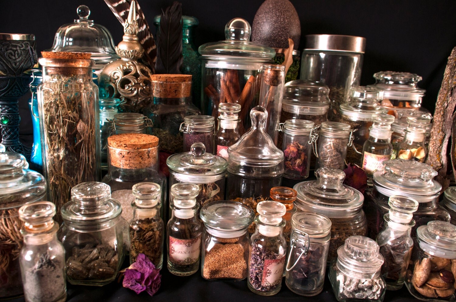 Complete Apothecary Kit/ 82 Herb Kit/ Witch's