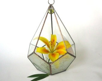 Air plant terrarium Stained glass terrarium Geometric terrarium Planter for Indoor Gardening