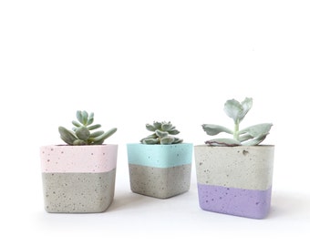 Urban Industrial Concrete Planter Gray Pot Modern Planter Cement Succulent Home Decor