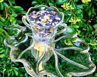 Paisley • Bird Feeder • Fall Leaves • Vintage Repurposed Glass Bird Feeder • Retro Leaf • Animal Lover