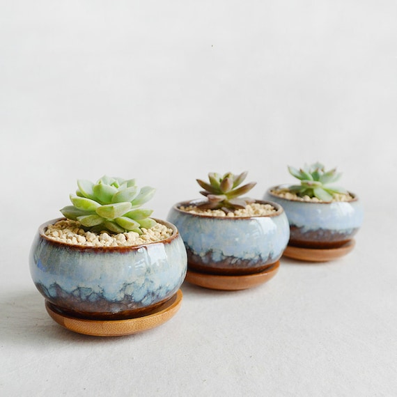 Glazed Ceramic Succulent PlanterCacti PotZen by MarukoCoco