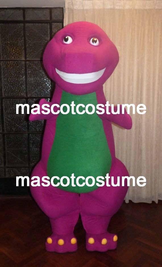 professional barney costume