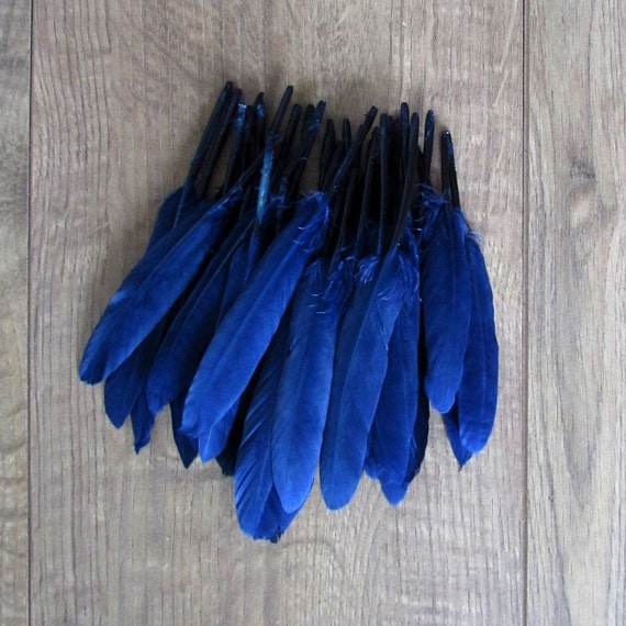 midnight blue goose feathers 4 6 midnight blue goose feathers 4 6