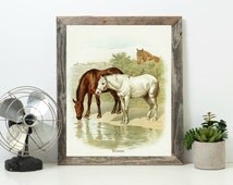 Popular items for vintage horse print on Etsy