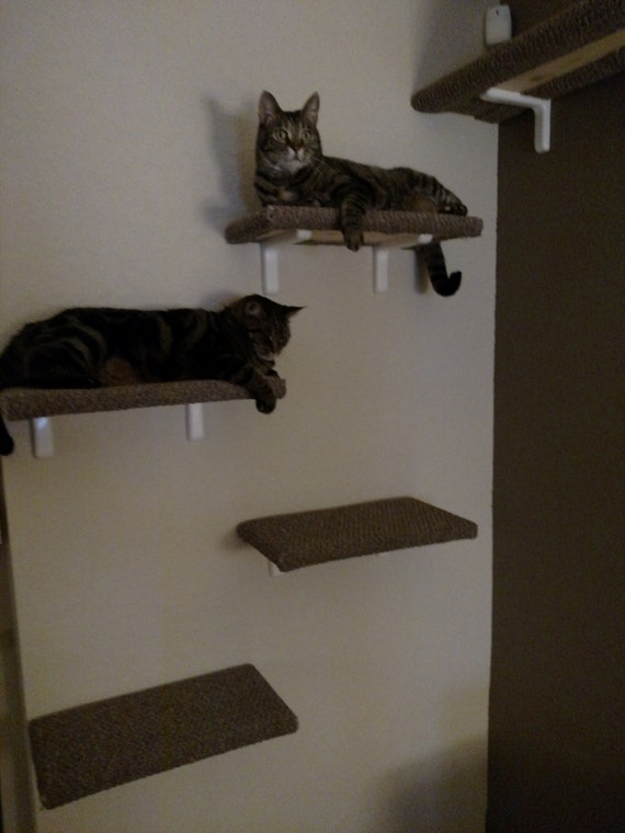 Items similar to Carpeted Cat Shelves (Pack of 4) on Etsy