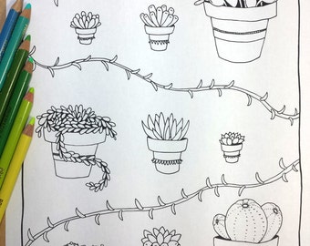 Succulents Adult Coloring Detailed Coloring Digital