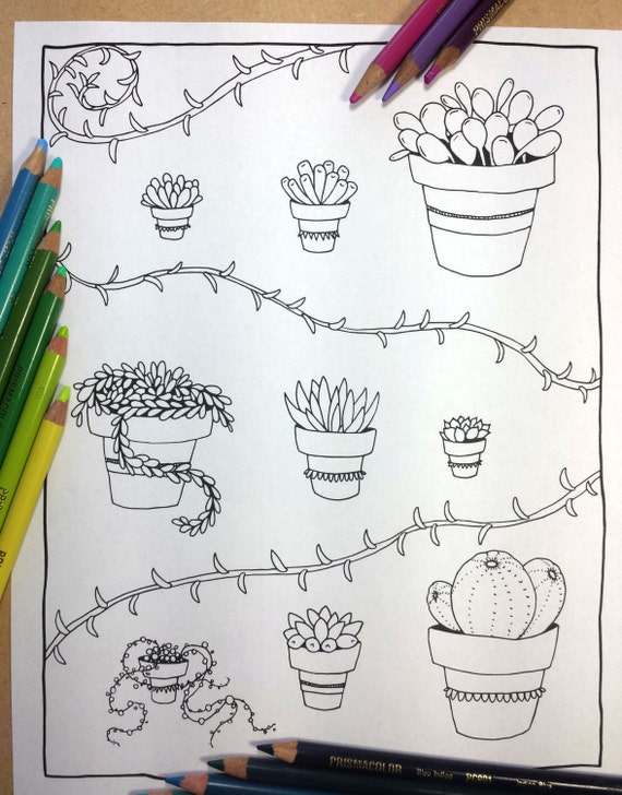 Succulent Coloring Coloring Book Page Instant Download