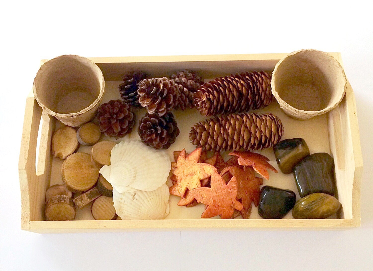 Nature Sensory Discovery Tray Montessori Inspired Educational