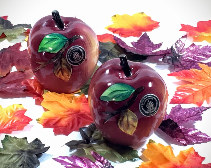 Vintage Salt and Pepper Shakers - Fall Apples - Hand painted Coronet PY of Japan