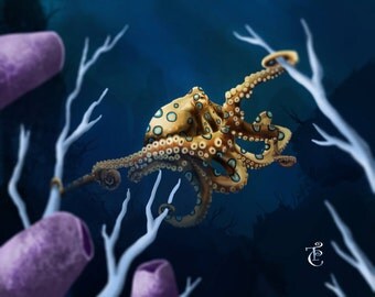 Blue Ringed Octopus - Save the Reef Collection