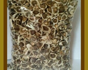 1000 moringa seeds Semillas de moringa