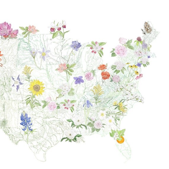 STATE FLOWERscape Map Drawing Art Print 48 State Flowers