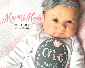 Baby Girl Month Stickers, Monthly Baby Girl Stickers, Bodysuit Stickers, Gray, Pink, Flower, Nursery Decor, Baby Photo Prop, Photography