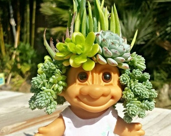 RESERVED, 100 Quality Succulents, Favor Size