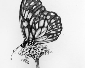 butterfly pencil drawing art – Etsy