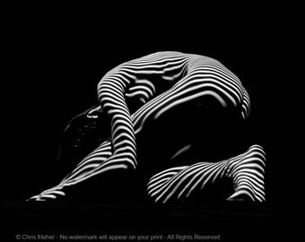 2070-AK Woman Nude Zebra Striped Light Curves around Back Butt Behind Naked Art Framed Art Print 