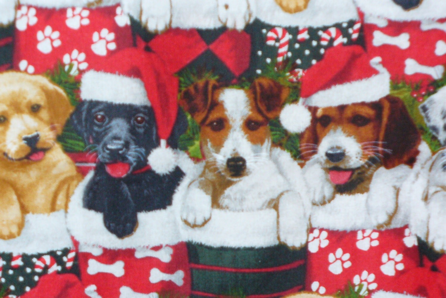 Christmas Dogs Dogs in Stockings Christmas Puppies