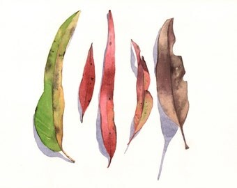 Eucalyptus leaf original watercolour painting, botanical art, leaf watercolor painting original. original leaf painting