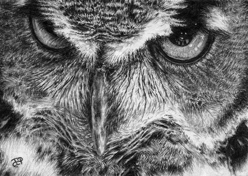The Great Horned Owl Sketch Card Original Drawing ACEO Animals