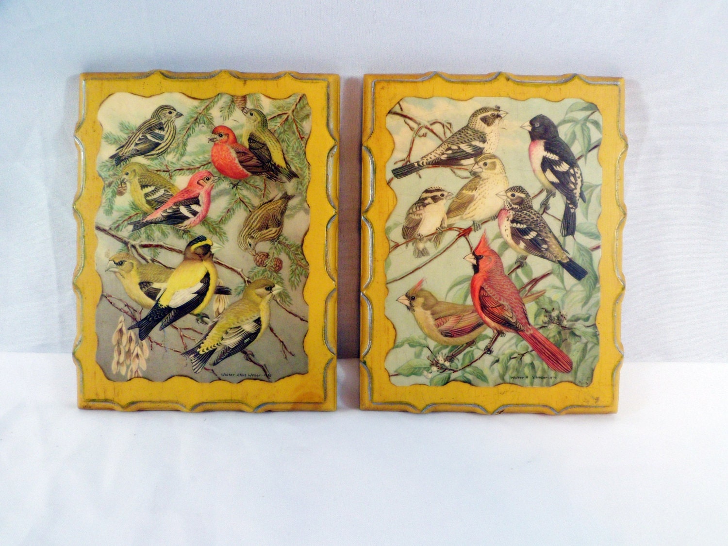 Vintage wooden song bird plaqueswall hangings decoupage.