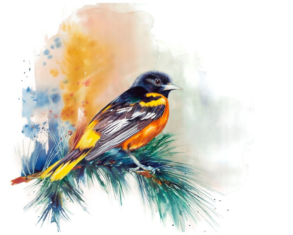 top 28 bird rescue baltimore audubon gift center top 28 bird rescue baltimore audubon gift center