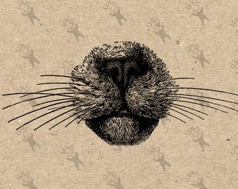 Vintage Sassy cat nose image Domestic Cat Kitty drawing Instant Download Digital printable clipart graphic transfer burlap fabric HQ300dpi