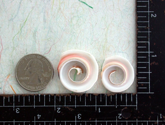 undyed agate slices