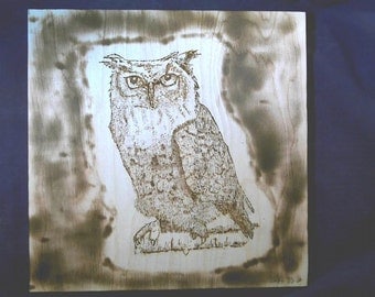 Art Pyrography-Owl- Handcrafted-Wood Burnt Wall Plaque Signed