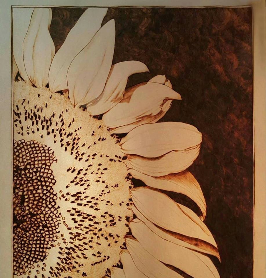 Woodburn art Sunflower BURNED on paper pyrography original