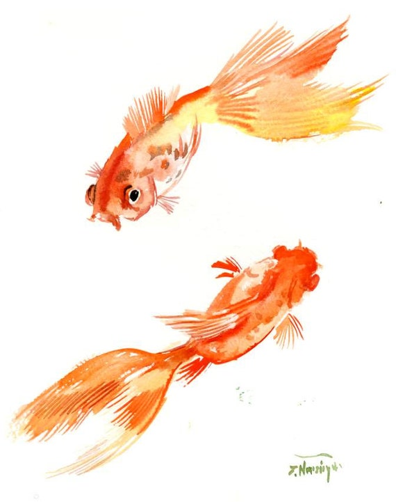 Items Similar To Goldfish Original Watercolor Painting 10 X 8 In