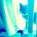 ingridluderman1