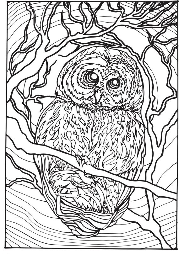 Owl in a Tree 2 Coloring Pages Printable Wall Art