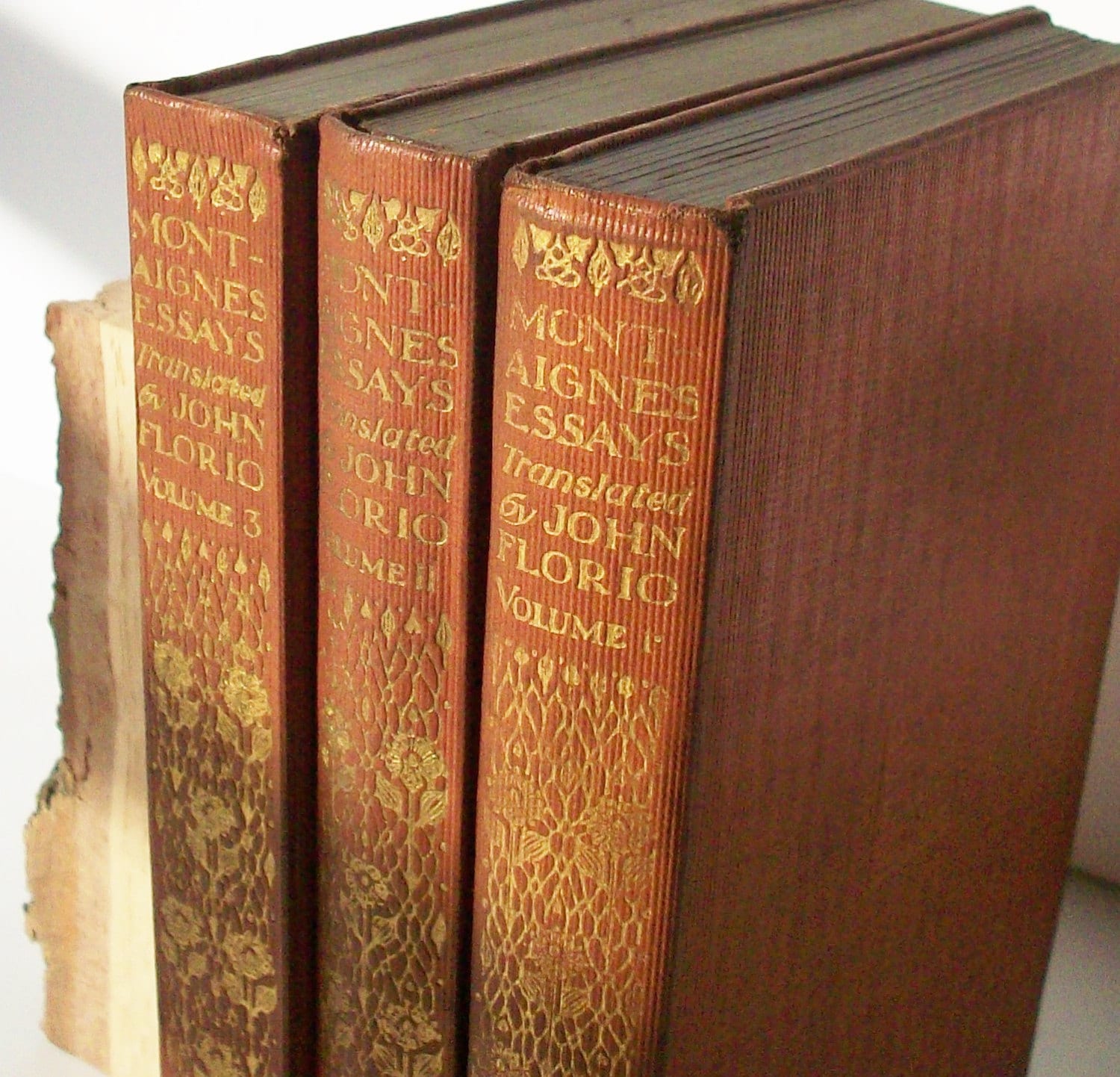 Montaigne's essays