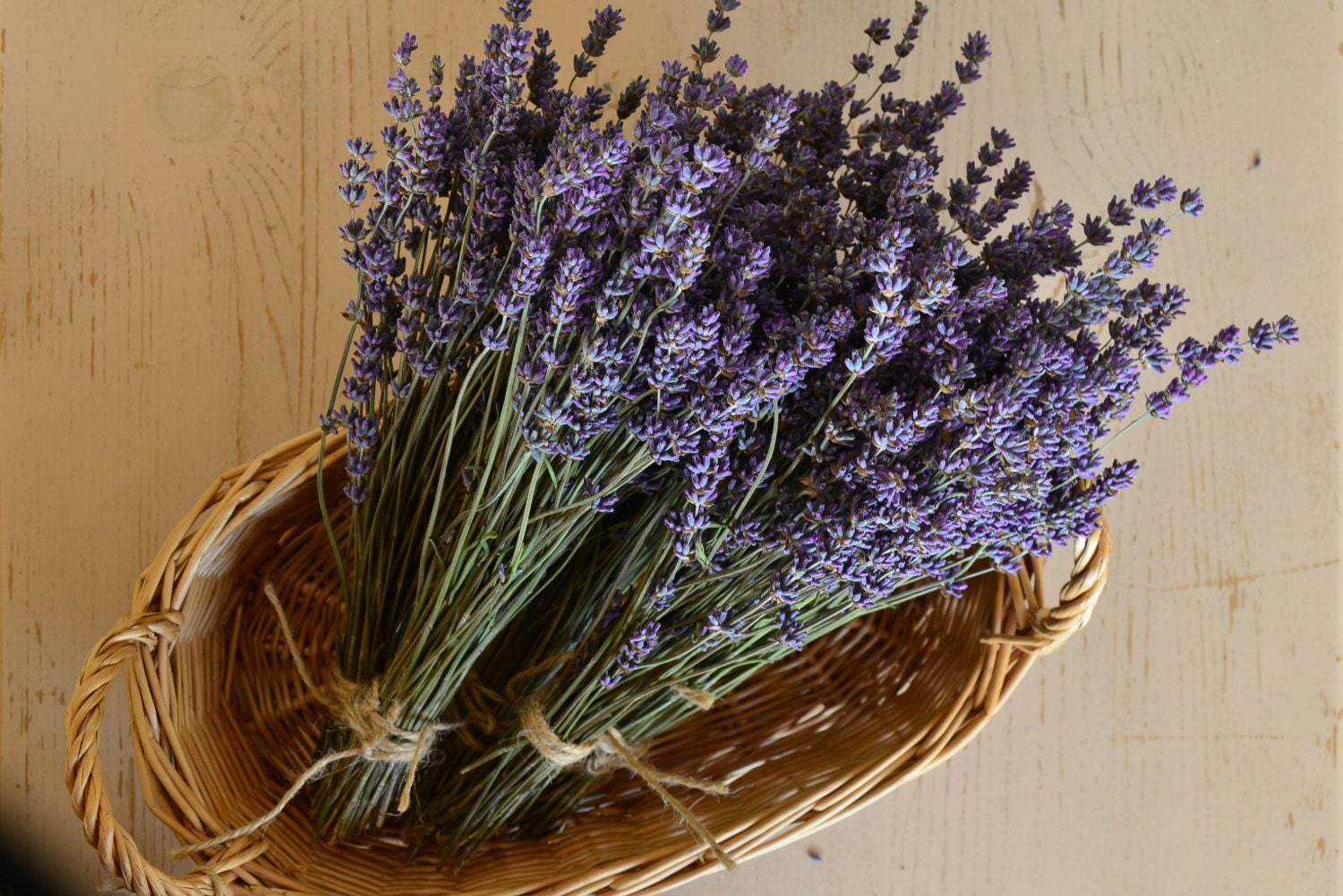 Dried Lavender bunch Bulgarian Lavender bunch