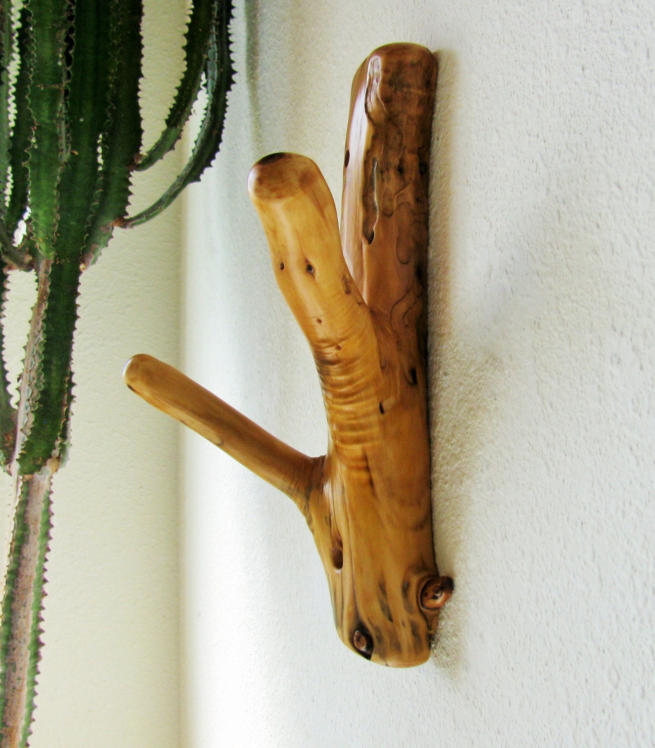 Juniper tree branch Wall Hook with double hooks by Hookedtonature