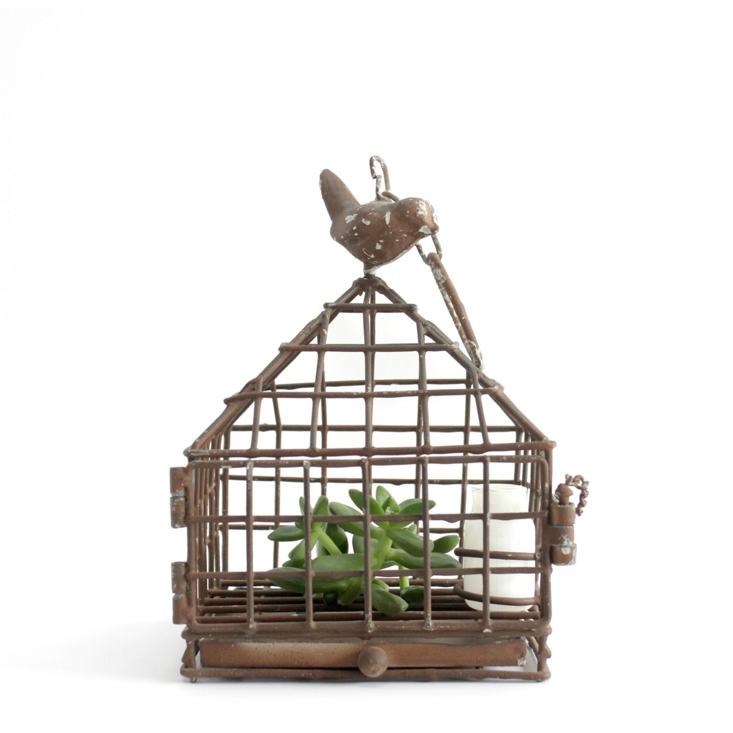 Ophelia & Co. Brundon Metal Decorative Bird Cage A lovely metal constructed birdcage is a fantastic option for decorating your gar den. It comes with pretty climbers surrounding the cage.