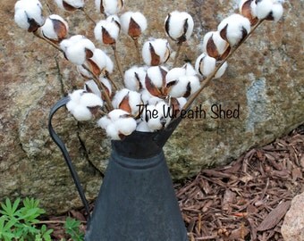 SHIPS FREE, 3-19" Natural Cotton Bolls, Cotton Stems, 2nd Anniversary, Farmhouse Cotton, Cotton Supply, Cotton Branches, Cotton Boll Spray