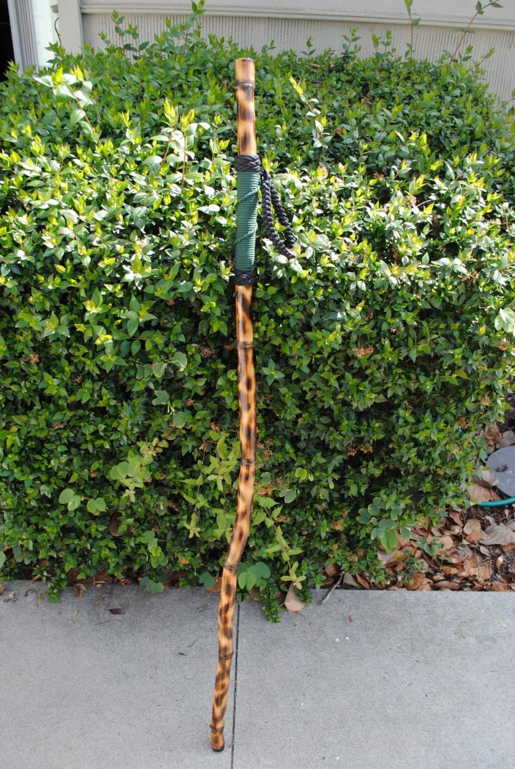 Bamboo Walking Stick