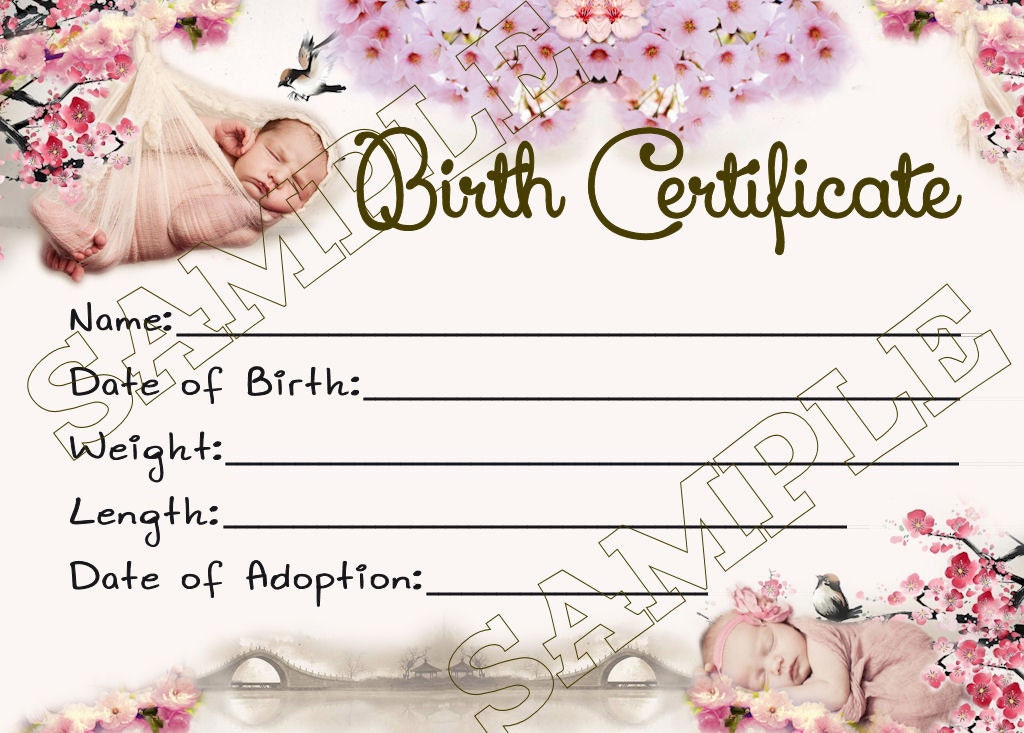 CHERRY BLOSSOMS Reborn Baby Doll Birth Certificate Instant