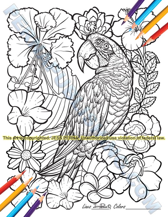 printable jungle parrot adult coloring page by by