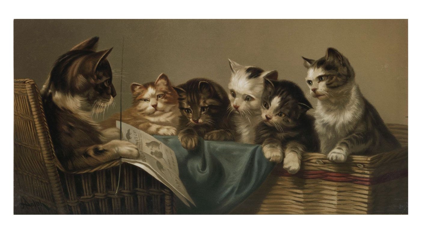 antique victorian illustration cat and kitten learning digital