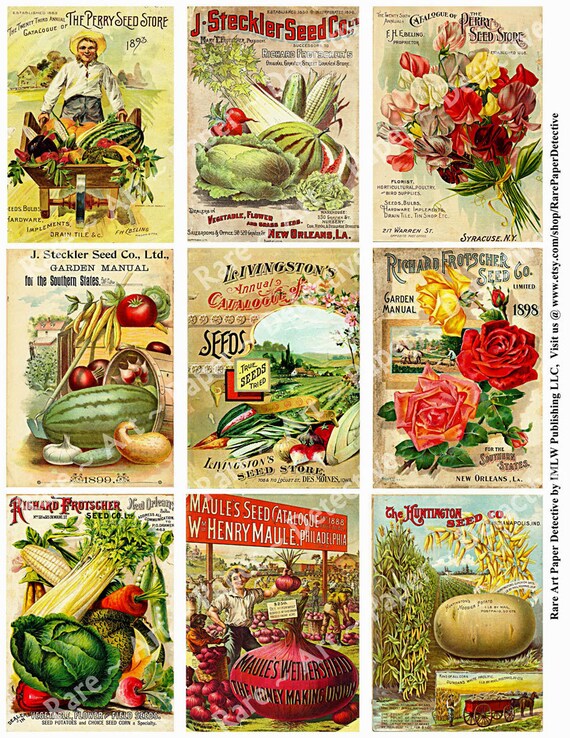Antique Vegetable Seed Packs 5 Printed Sheets 43 Seed