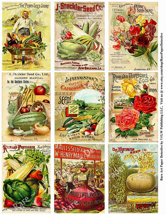 clipart vintage seed packets - photo #25