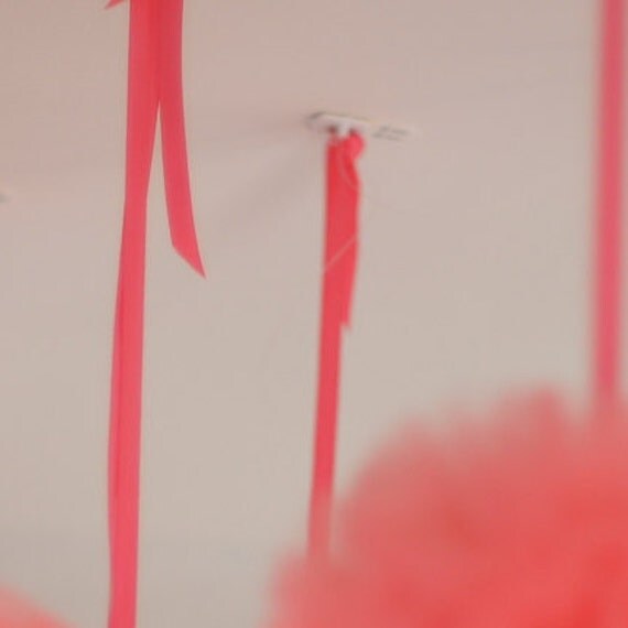 No damage removable Hooks /clips set of 5 for hanging pom