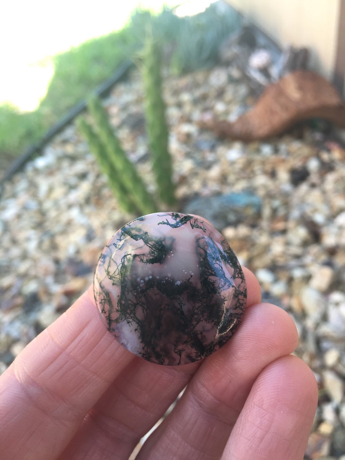 Large round Moss agate. Big stone. Moss Agate Cabochon. Green