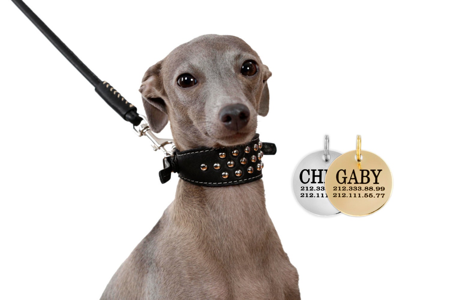 Leather Dog Collars Whippet Lurcher Borzoi Laser by CollarDirect