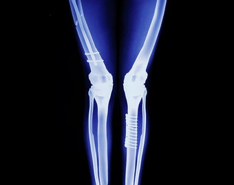 X-Ray Leggings, Gothic Clothing, Skeleton Leggings, Halloween Leggings, Glow in The Dark Leggings, Skull Leggings, Pagan Clothing