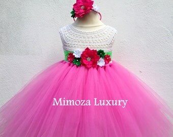 Strawberry shortcake Dress, strawberry costume, strawberry shortcake theme party, strawberry shortcake tutu dress, birthday party dress